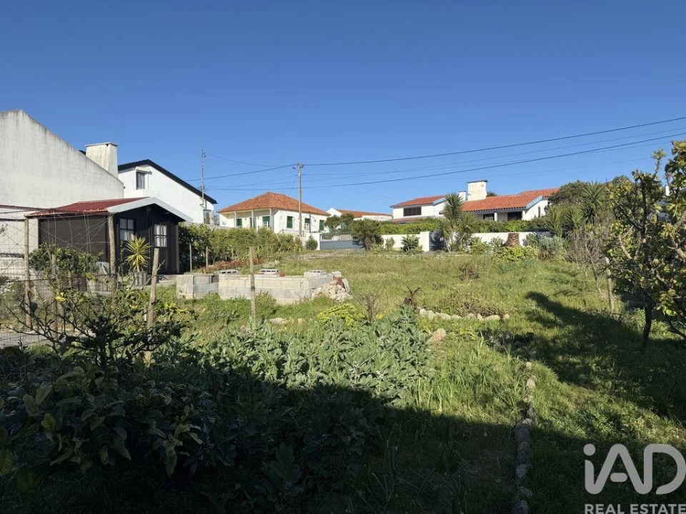 Terreno para Venda em Lourinhã e Atalaia Foto 27