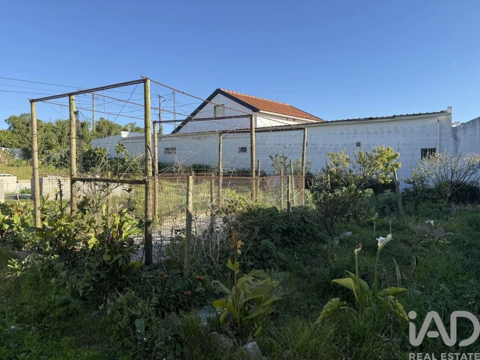 Terreno para Venda em Lourinhã e Atalaia Foto 29