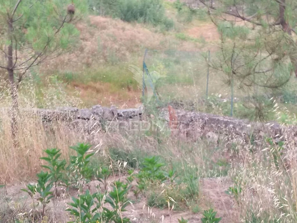 Terreno para Venda em Mangualde, Mesquitela e Cunha Alta Foto 6
