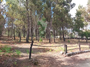 Terreno para Venda em Mangualde, Mesquitela e Cunha Alta