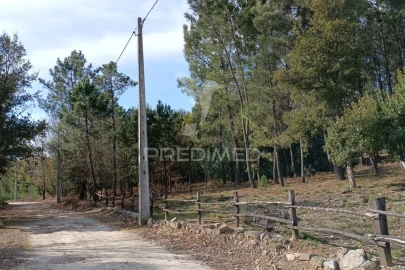 Terreno para Venda em Mangualde, Mesquitela e Cunha Alta