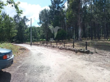 Terreno para Venda em Mangualde, Mesquitela e Cunha Alta