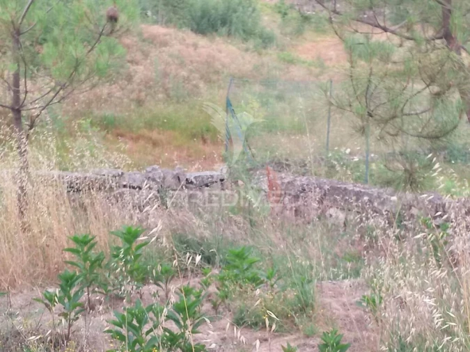 Terreno para Venda em Mangualde, Mesquitela e Cunha Alta Foto 6