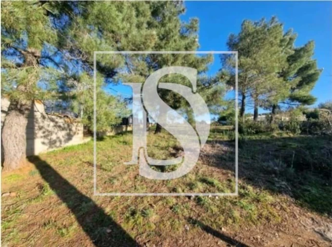 Terreno para Venda em Samil