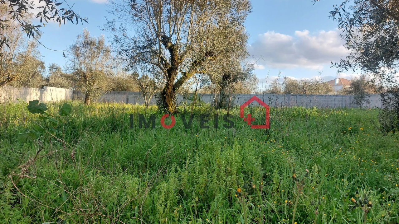 Moradia T2 para Venda em Rio de Couros e Casal dos Bernardos Foto 6