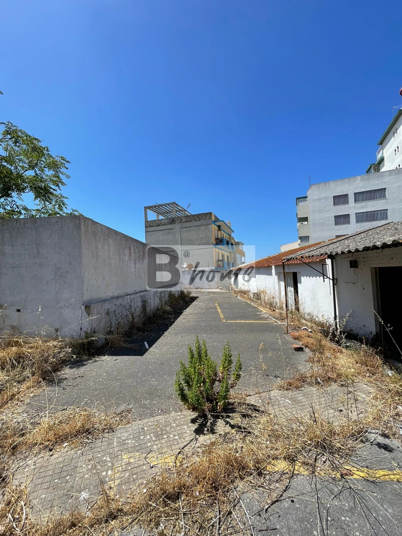 Terreno para Venda em Laranjeiro e Feijó Foto 15