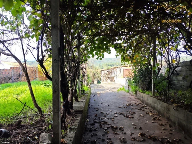 Moradia T4 para Venda em Oleiros-Amieira Foto 8