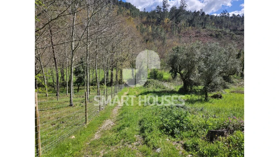 Moradia T2 para Venda em Arganil Foto 2