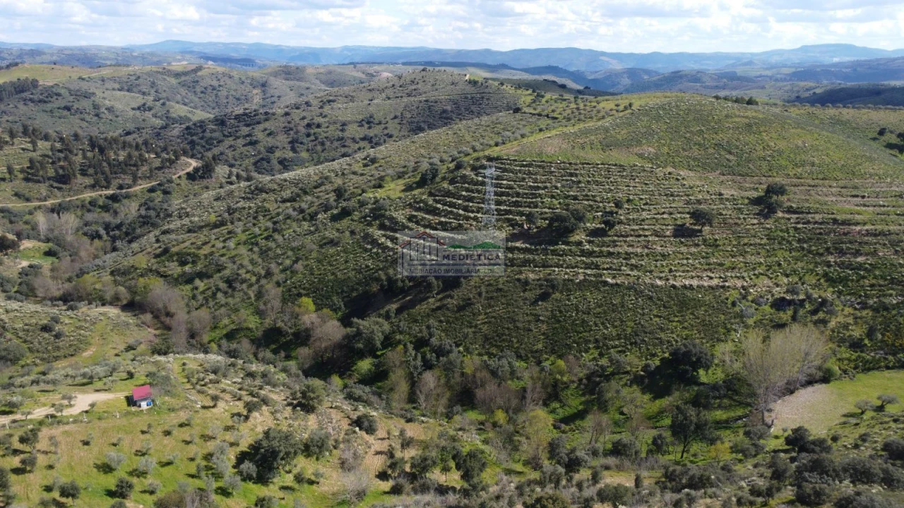 Quinta para Venda em Alfandega da Fe Foto 2