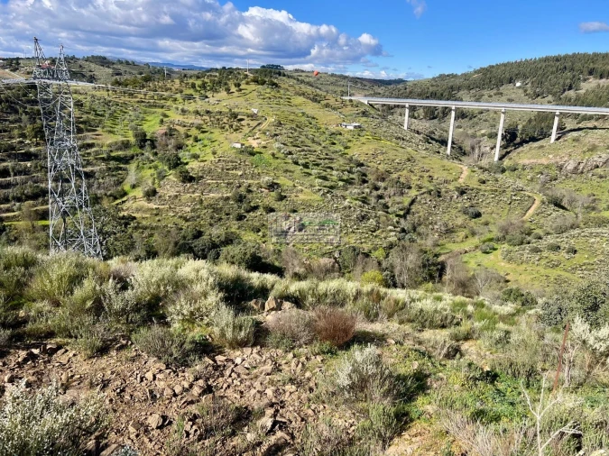 Quinta para Venda em Alfandega da Fe Foto 7