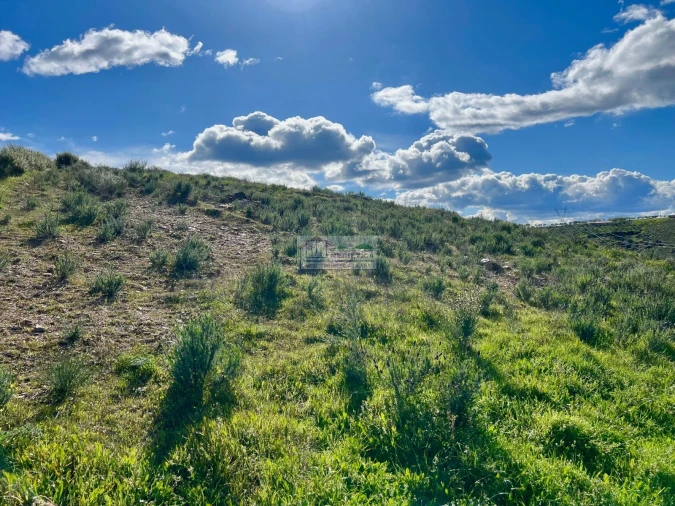 Quinta para Venda em Alfandega da Fe Foto 9