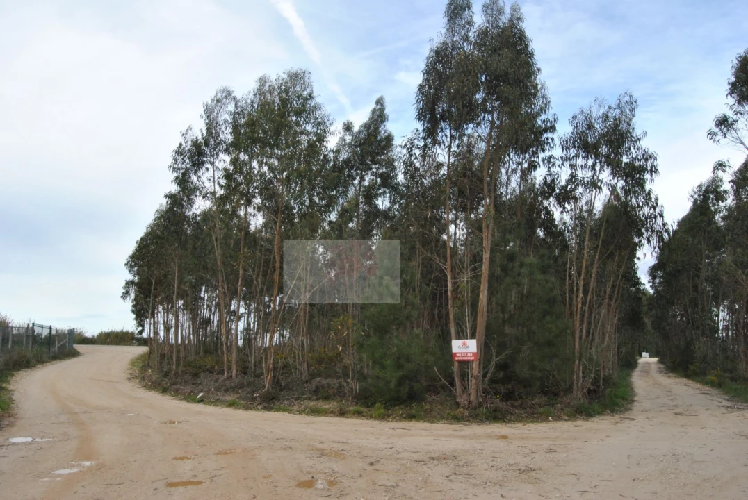 Terreno para Venda em Tornada e Salir do Porto Foto 1