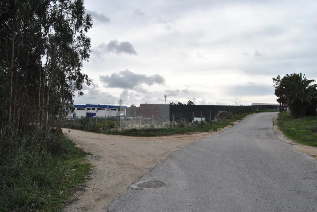Terreno para Venda em Tornada e Salir do Porto Foto 6