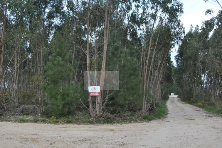 Terreno para Venda em Tornada e Salir do Porto Foto 3