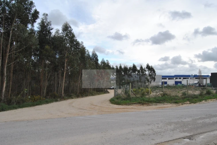 Terreno para Venda em Tornada e Salir do Porto Foto 7