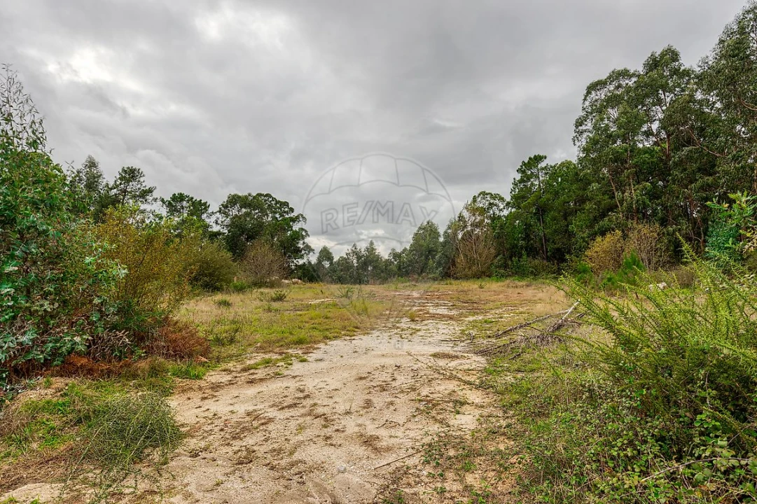 Terreno para Venda em Regadas Foto 13