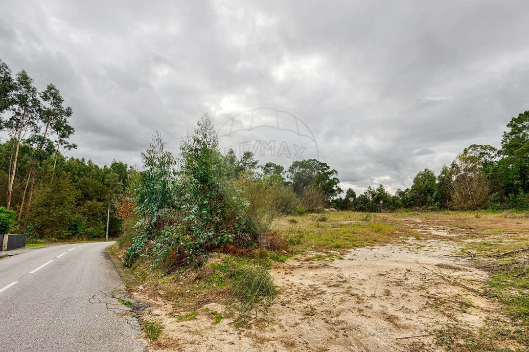 Terreno para Venda em Regadas Foto 14