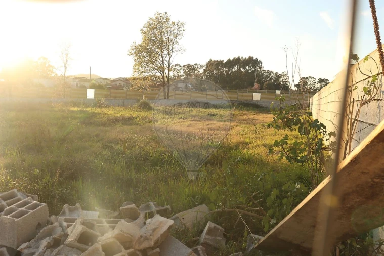 Terreno para Venda em Avidos e Lagoa Foto 6