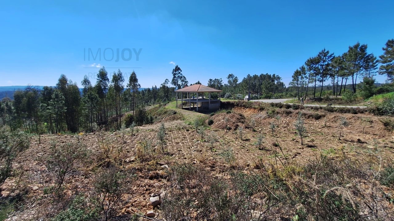 Terreno Agricola ou Rústico para Venda em Sertã Foto 9