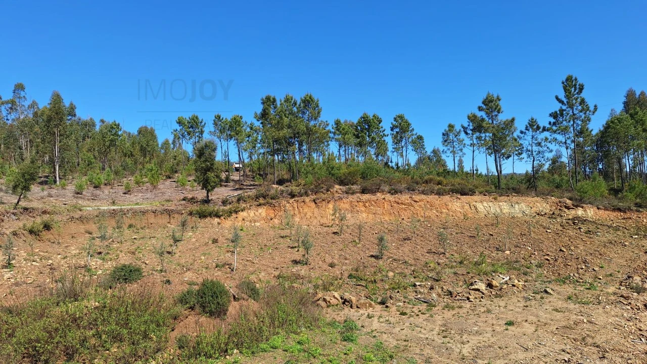 Terreno Agricola ou Rústico para Venda em Sertã Foto 10