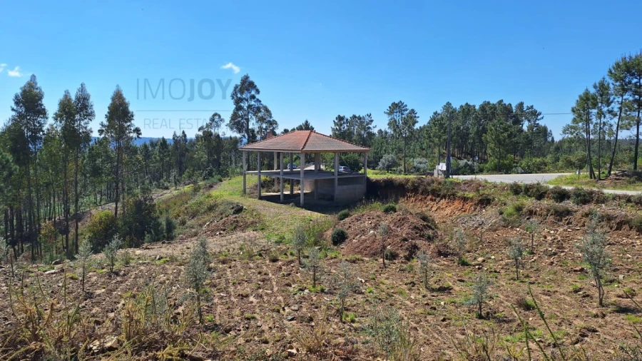 Terreno Agricola ou Rústico para Venda em Sertã Foto 4