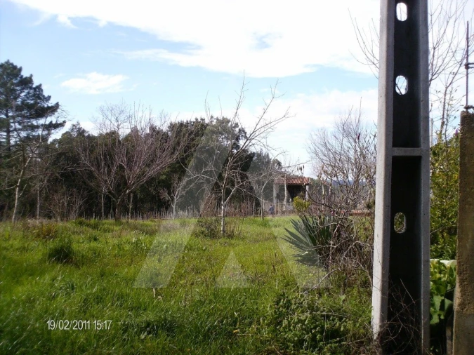 Terreno para Venda em Aguada de Cima Foto 1