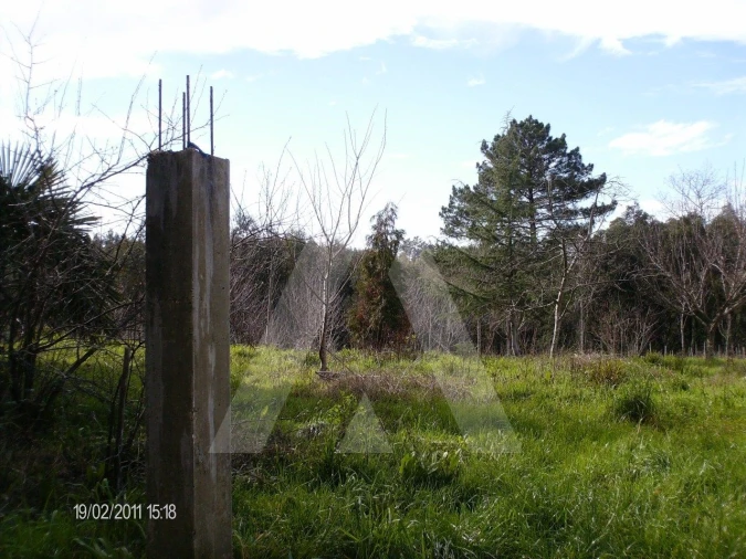 Terreno para Venda em Aguada de Cima Foto 2