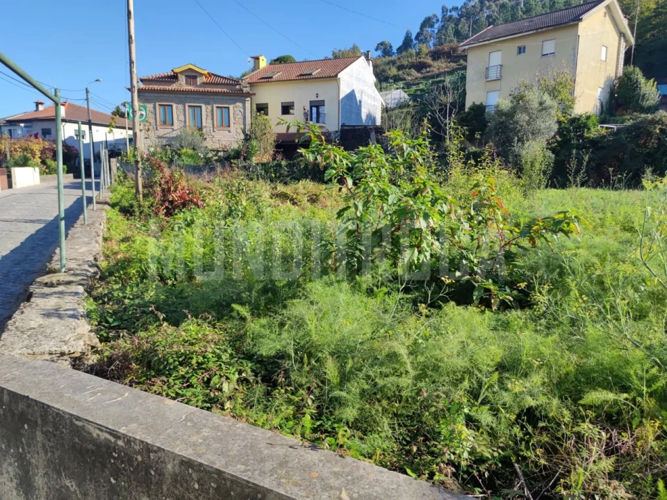 Terreno para Arrendamento em Celeirós, Aveleda e Vimieiro Foto 4