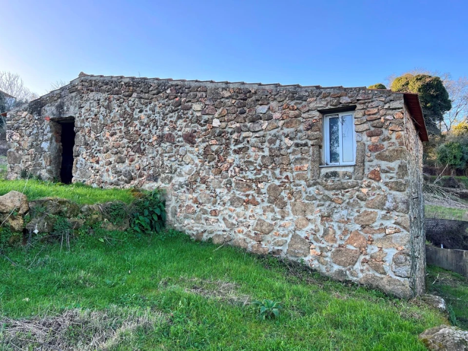 Quinta T6 para Venda em Figueiró dos Vinhos e Bairradas Foto 8