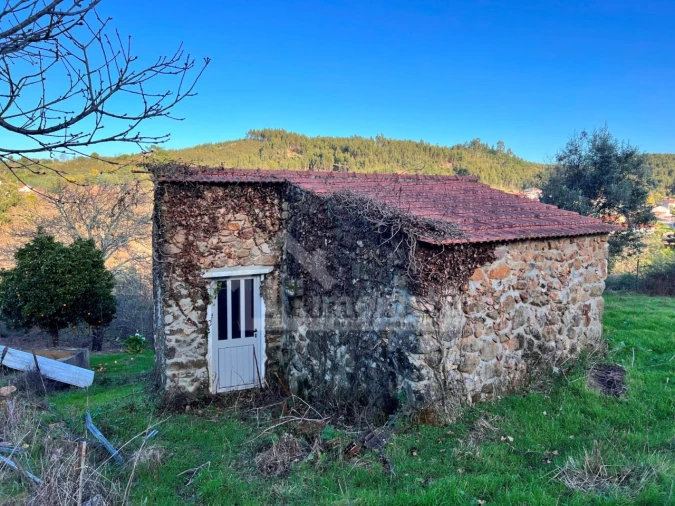 Quinta T6 para Venda em Figueiró dos Vinhos e Bairradas Foto 9