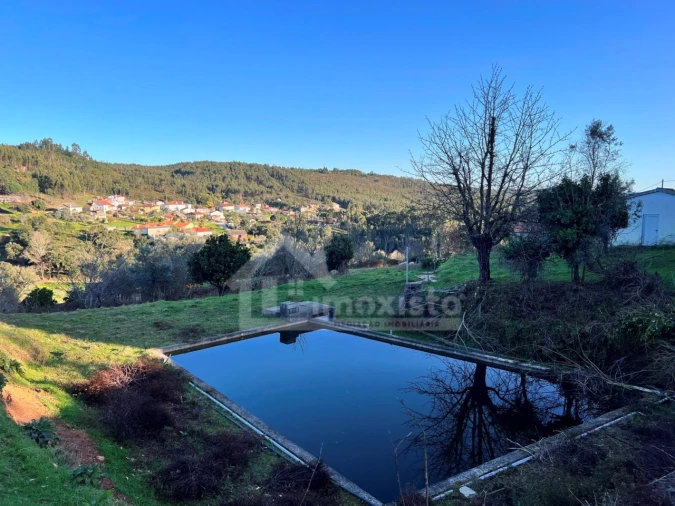 Quinta T6 para Venda em Figueiró dos Vinhos e Bairradas Foto 12