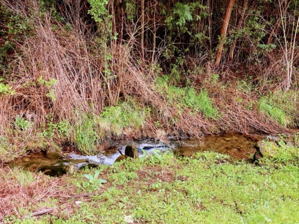 Quinta T1 para Venda em Castanheira de Pêra e Coentral Foto 22