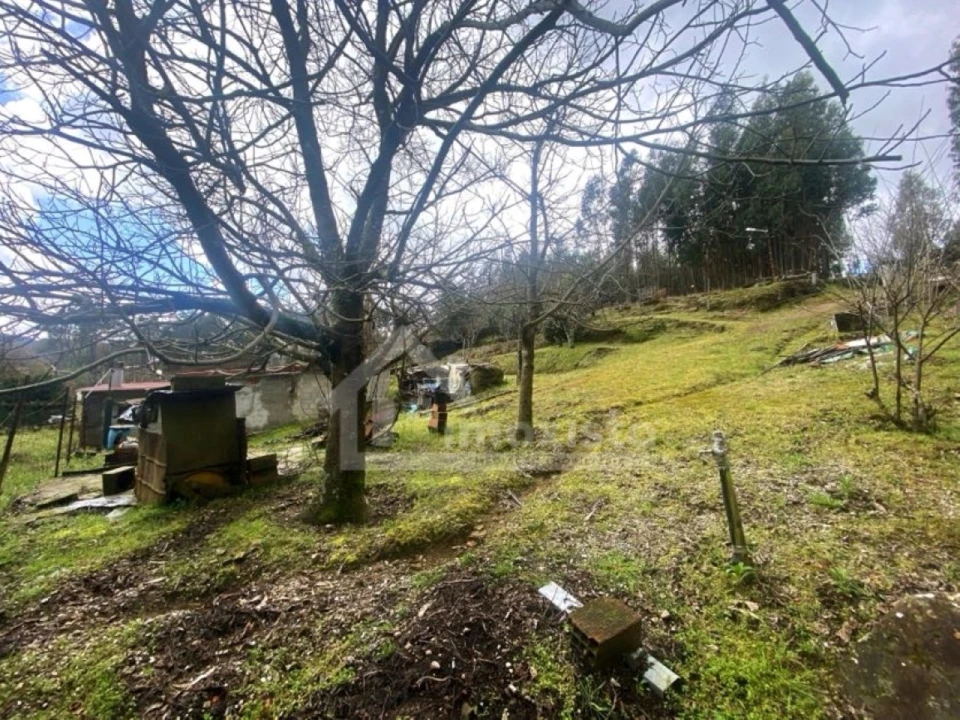 Quinta T1 para Venda em Castanheira de Pêra e Coentral Foto 23