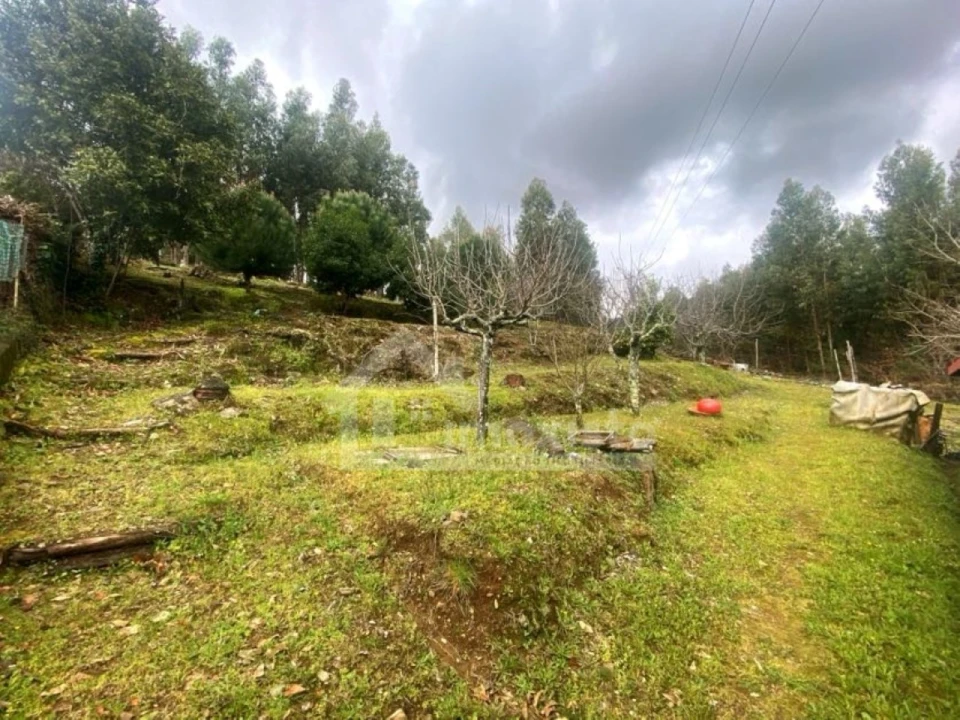 Quinta T1 para Venda em Castanheira de Pêra e Coentral Foto 24