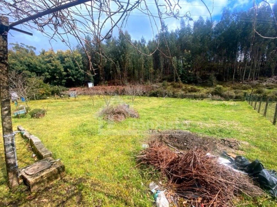 Quinta T1 para Venda em Castanheira de Pêra e Coentral Foto 27