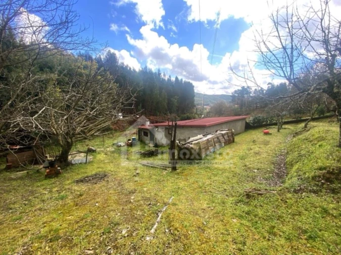 Quinta T1 para Venda em Castanheira de Pêra e Coentral Foto 2