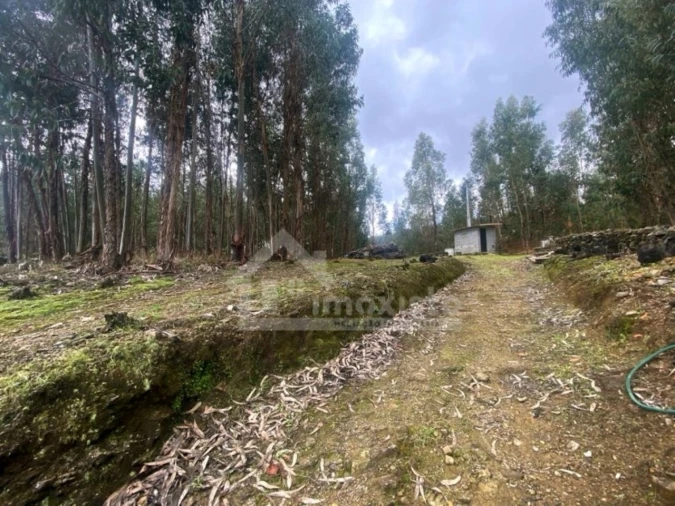 Quinta T1 para Venda em Castanheira de Pêra e Coentral Foto 3