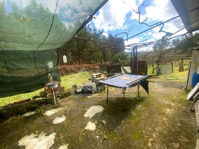 Quinta T1 para Venda em Castanheira de Pêra e Coentral Foto 15