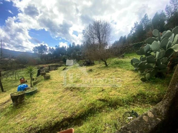 Quinta T1 para Venda em Castanheira de Pêra e Coentral Foto 17