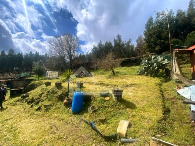 Quinta T1 para Venda em Castanheira de Pêra e Coentral Foto 18