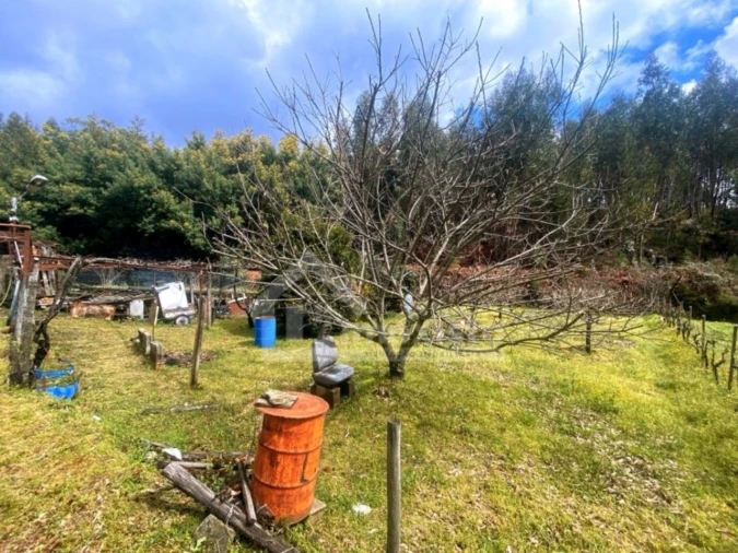Quinta T1 para Venda em Castanheira de Pêra e Coentral Foto 19