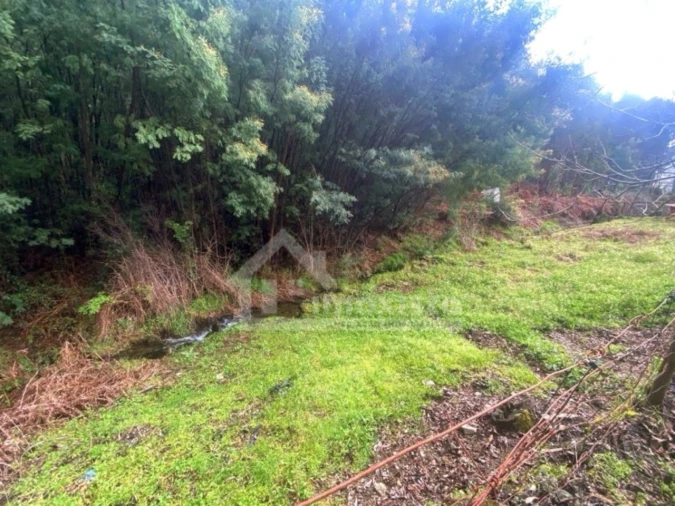 Quinta T1 para Venda em Castanheira de Pêra e Coentral Foto 21