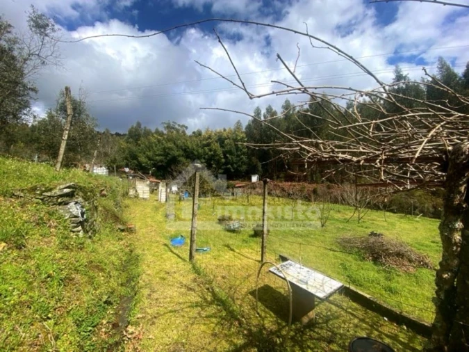 Quinta T1 para Venda em Castanheira de Pêra e Coentral Foto 28