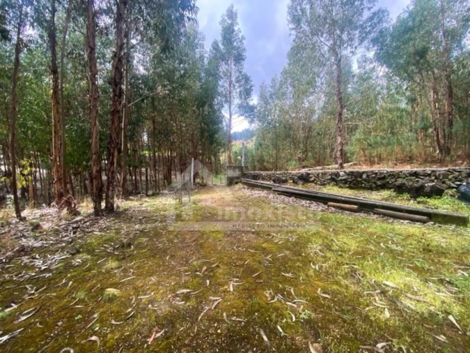 Quinta T1 para Venda em Castanheira de Pêra e Coentral Foto 30