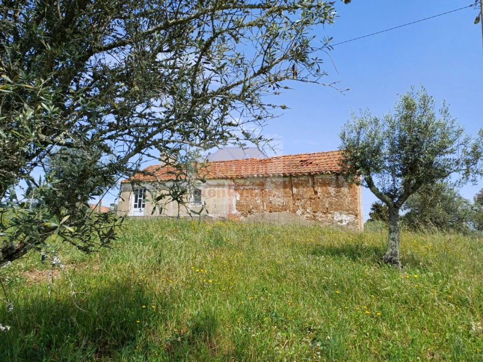 Terreno Misto para Venda em Grândola e Santa Margarida da Serra Foto 1