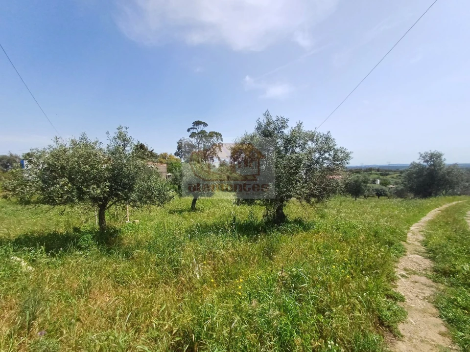 Terreno Misto para Venda em Grândola e Santa Margarida da Serra Foto 4