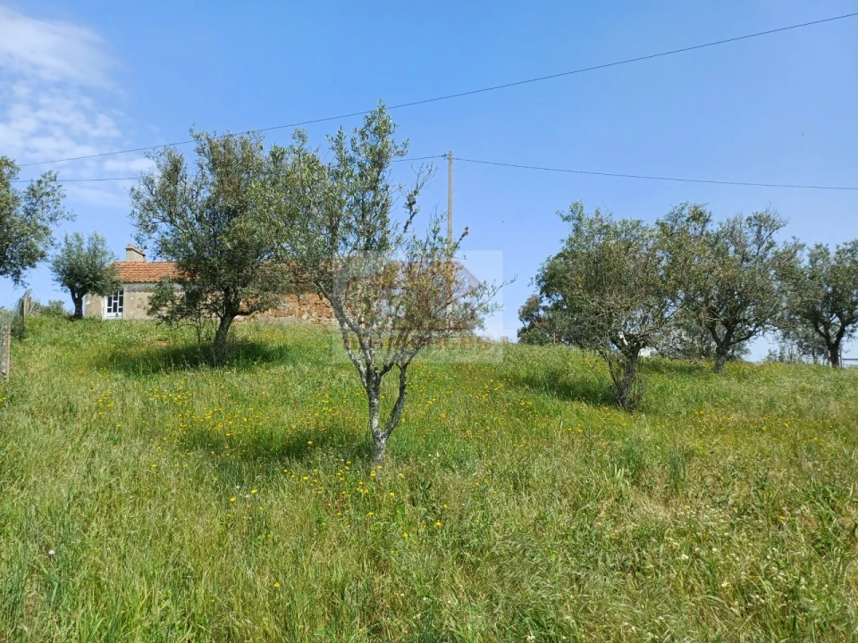 Terreno Misto para Venda em Grândola e Santa Margarida da Serra Foto 6