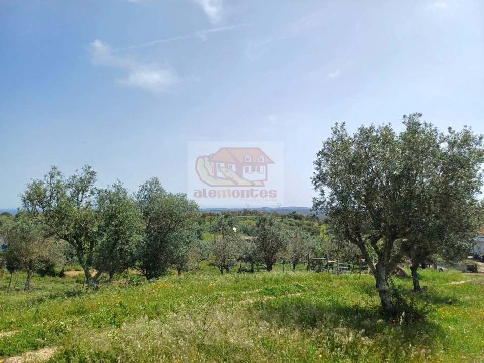 Terreno Misto para Venda em Grândola e Santa Margarida da Serra Foto 8