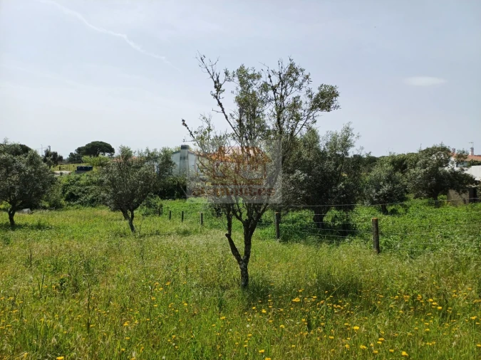 Terreno Misto para Venda em Grândola e Santa Margarida da Serra Foto 5