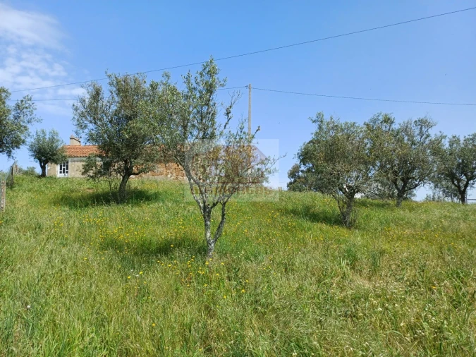 Terreno Misto para Venda em Grândola e Santa Margarida da Serra Foto 6